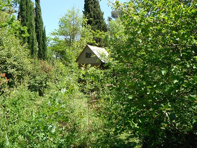 cabane dans le jardin